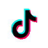 TikTok Ads
